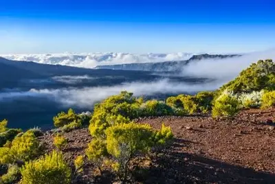 Autotour L'île de la Réunion : entre balade, nature et culture