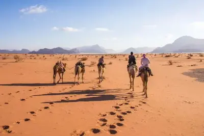 Circuit Découverte jordanienne avec mer rouge