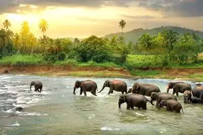 Circuit Grand tour du Sri Lanka en privatif 2025