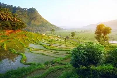Circuit Splendeurs de Bali  & Extension Plage 2025