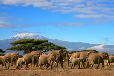 Circuit Combiné Kenya et Tanzanie, Du Joyau de l'Afrique aux Terres du Kilimandjaro - Version 2025