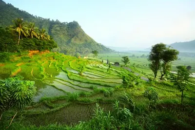 Combiné circuit et hôtel Balade à Bali et extension 7 nuits au Framissima Évasion Bali Tropic