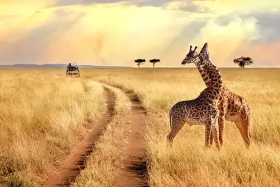 Combiné circuit et hôtel Jacaranda Indian Ocean Beach Resort 4* avec 2 nuits Tsavo Est/Ouest