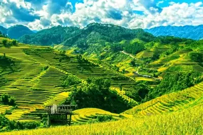 Circuit Vietnam du Nord au Sud, les incontournables en Privatif
