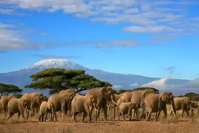 Circuit Immersion au Kenya 2025