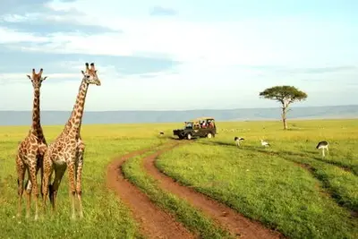 Circuit Merveilles du Kenya Samburu - 2025