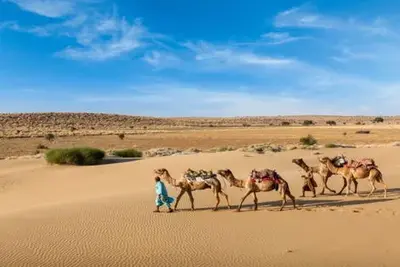 Hôtel Immersion au Rajasthan