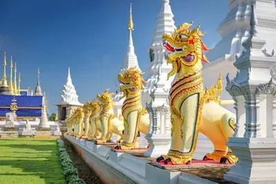 Circuit Lotus de Thaïlande et plage à Koh Samui 2025
