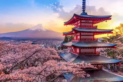 Circuit Kyoto Hakone Tokyo - De Osaka A Tokyo