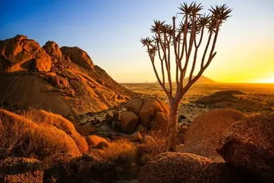 Circuit Découverte de la Namibie 2025