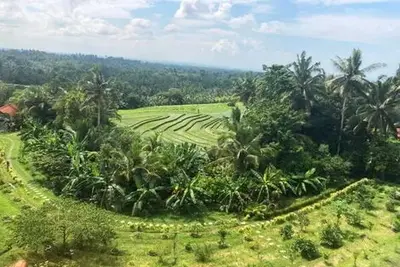 Circuit Bien-Être à Bali en Privatif