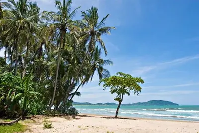 Circuit Splendeurs du Costa Rica & Extension Région de Manuel Antonio / Pacifique Central