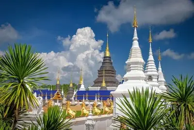 Circuit Lotus de Thaïlande et plage à Krabi 2025
