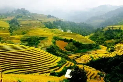 Circuit Splendeurs du Vietnam & Extension balnéaire Phu Quoc 4* - 2025