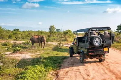 Circuit Aventure Sri Lankaise et Plage de Rêve - Privatif