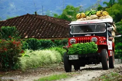 Circuit Colombie :  Tierra Colombiana en petit groupe