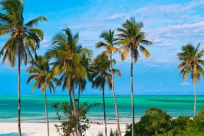 Circuit Trésors d'Afrique : Tanzanie & Zanzibar