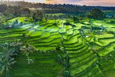 Combiné circuit et hôtel Perles de Bali & Java - ext. 2 nuits Sanur