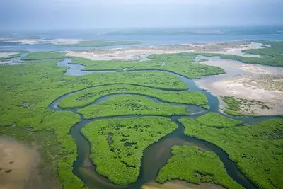 Circuit Le Sénégal, des dunes du Dakar au delta du Saloum