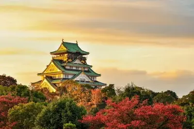 Circuit Magie du Japon ext. Tokyo - Vols Qatar