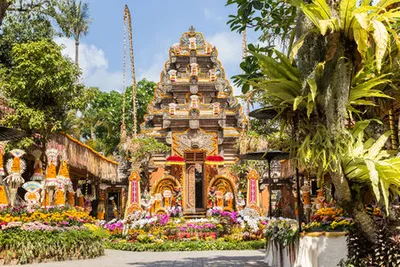 Circuit Evasion à Bali - Privatif