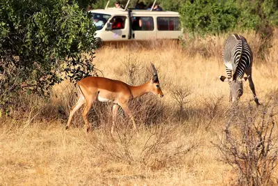 Combiné circuit et hôtel Fram Selection Barracuda 4* avec 1 nuit Tsavo Est