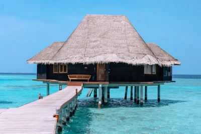 Hôtel Coco Palm Dhuni Kolhu