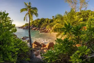 Combiné hôtels Combiné 2 îles - Côte d'Or Footprints 3* (4 nuits) + Sun Properties 4* (3 nuits)