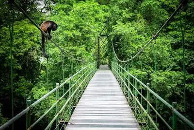 Autotour Le Costa Rica des Caraïbes au Pacifique