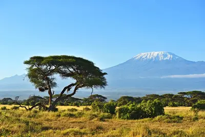 Combiné circuit et hôtel Framissima Evasion Barracuda Resort 4* avec 3 nuits Tsavo Est/Ouest et Amboséli