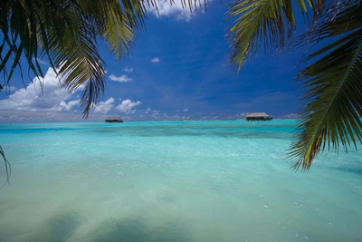 Hôtel Medhufushi Island Resort