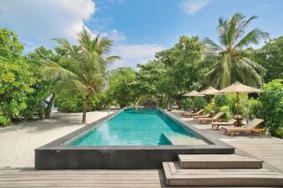 Hôtel The Barefoot Eco Hotel