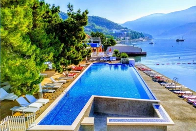 Top Clubs Energie Delfin