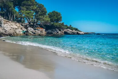 Hôtel Iberostar Waves Pinos Park