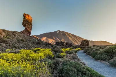 Circuit Saveurs et traditions des Canaries et plage au Framissima Évasion Sol Arona