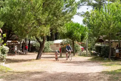 Camping La Côte Sauvage