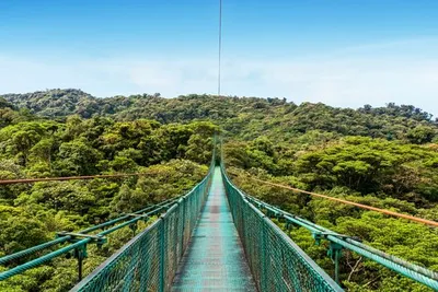 Autotour : Trésors naturels costariciens et extension possible au Corcovado