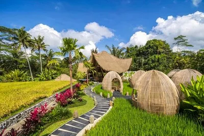 Keliki Ubud 5*, Royal Avila Boutique Lombok 5*, Avani Seminyak 5*