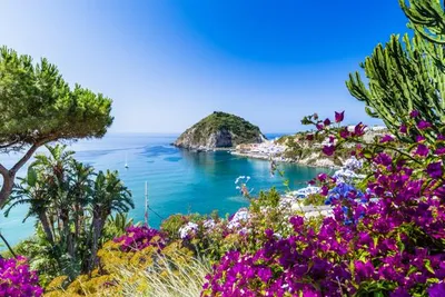 Circuit en liberté : Île d'Ischia et côte Amalfitaine