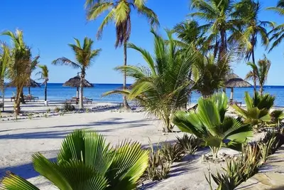 Hôtel The Sands Beach Resort