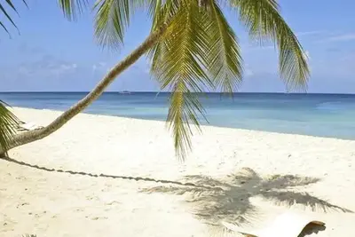 Hôtel Whe Bavaro