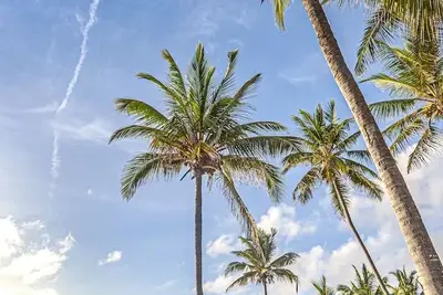 Hôtel Breezes Beach Club