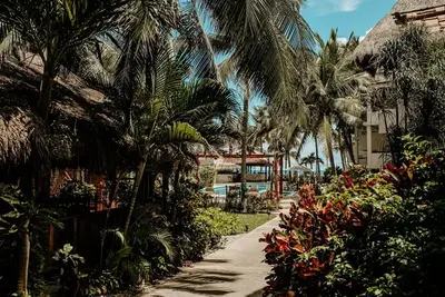 Hôtel Petit Lafitte