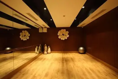 Hôtel Radisson Blu Plaza Delhi