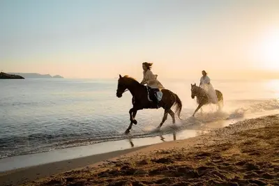 Hôtel Family Village