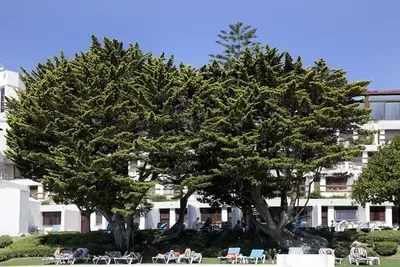 Hôtel Do Mar