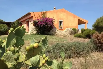 Hôtel Agriristochic Resort Li Espi