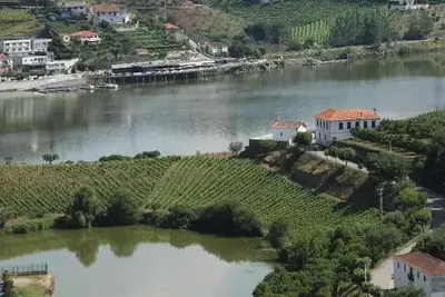 Hôtel Folgosa Douro Hotel