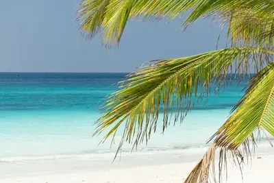 Hôtel Tikitam Palms Boutique Hotel