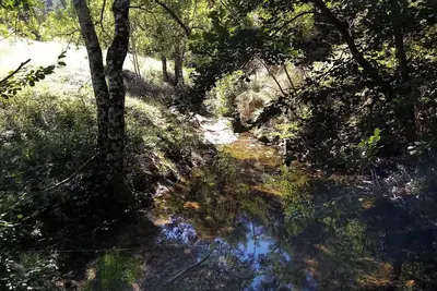 Image de Homerez - Maison à Saint-Basile